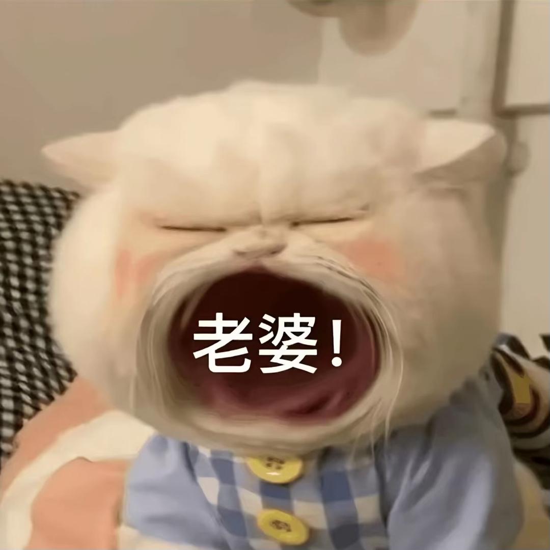 爱吃猪肉🥩