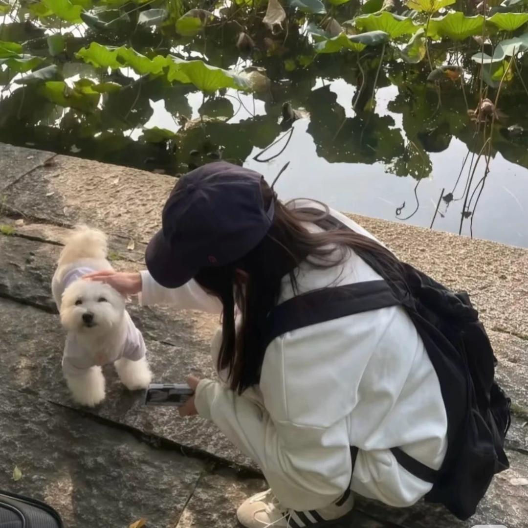 一根薯条