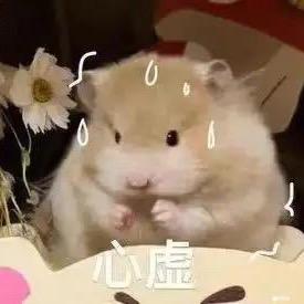 我爱羊驼