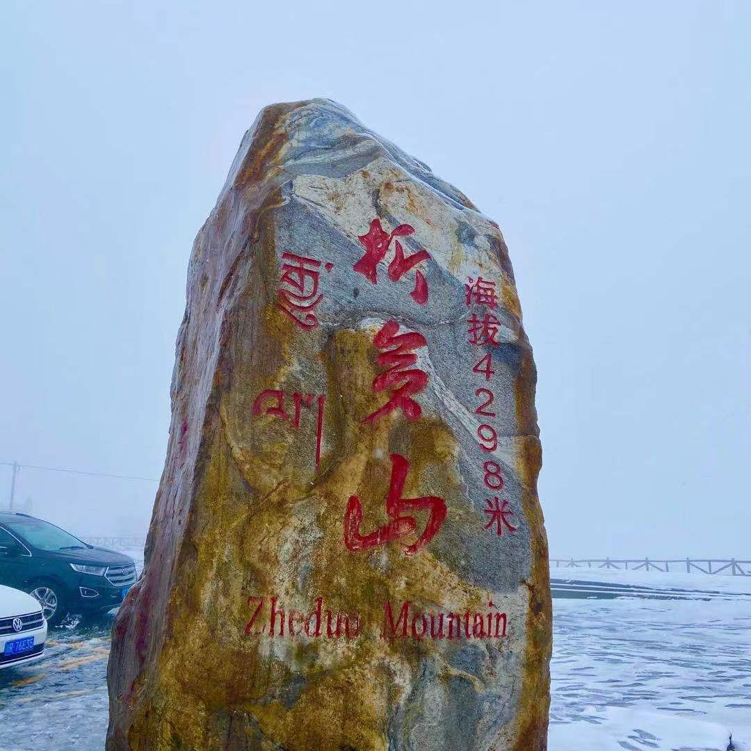 馨儿猪头像