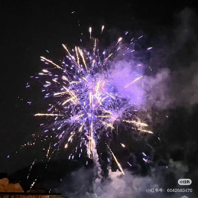 嘉多宝⌯ᕑᗢᓫ⌯ಣ