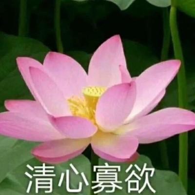 该遗憾的是她