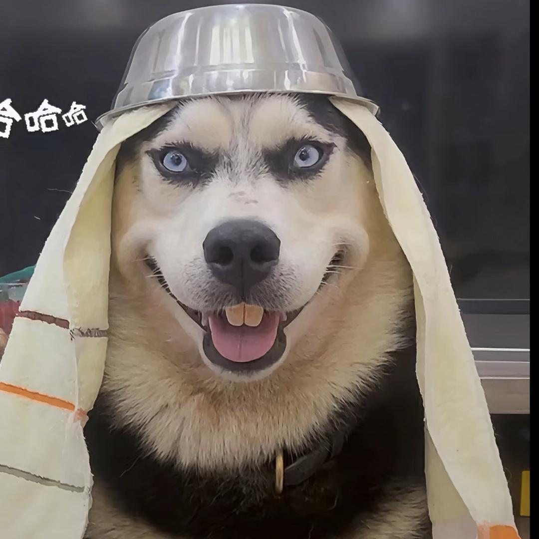 川泽(破碎版)