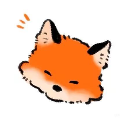 瑶瑶🦊