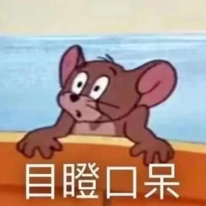 瓜田里的海豹