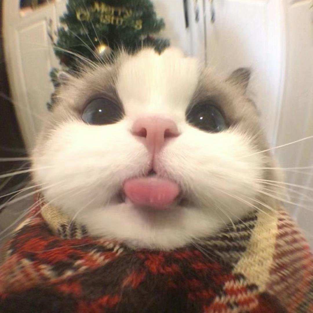 33.^_^
