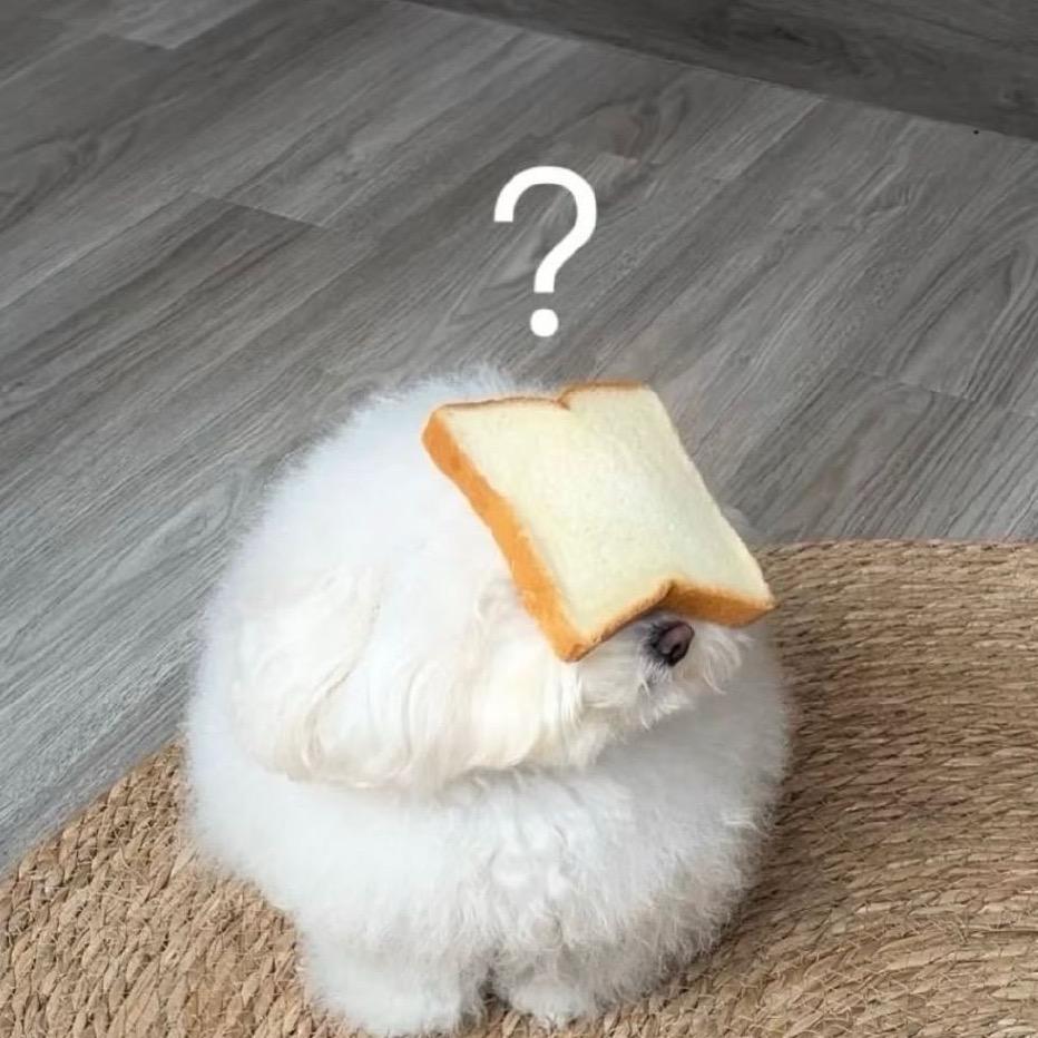 绵绵饼