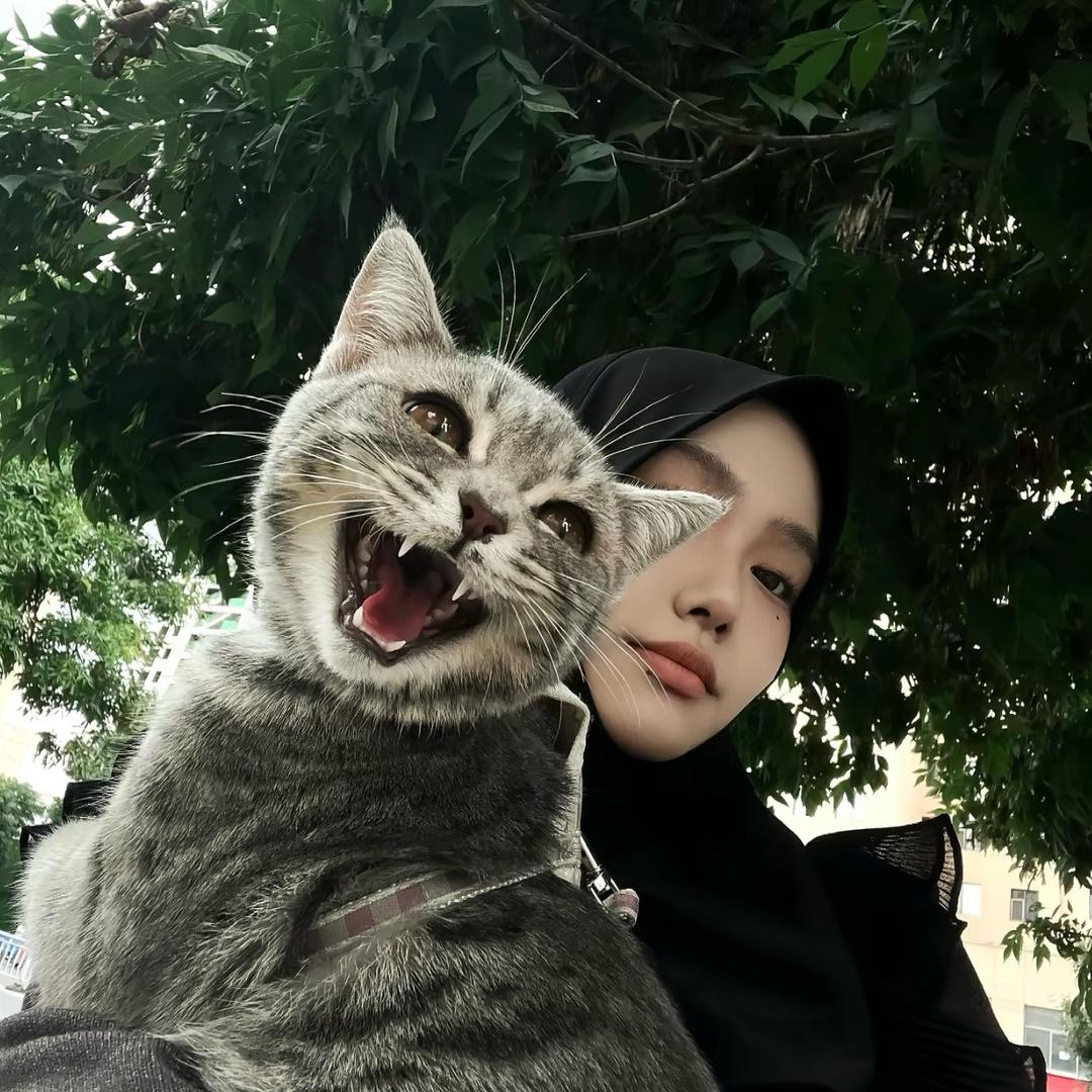 M。