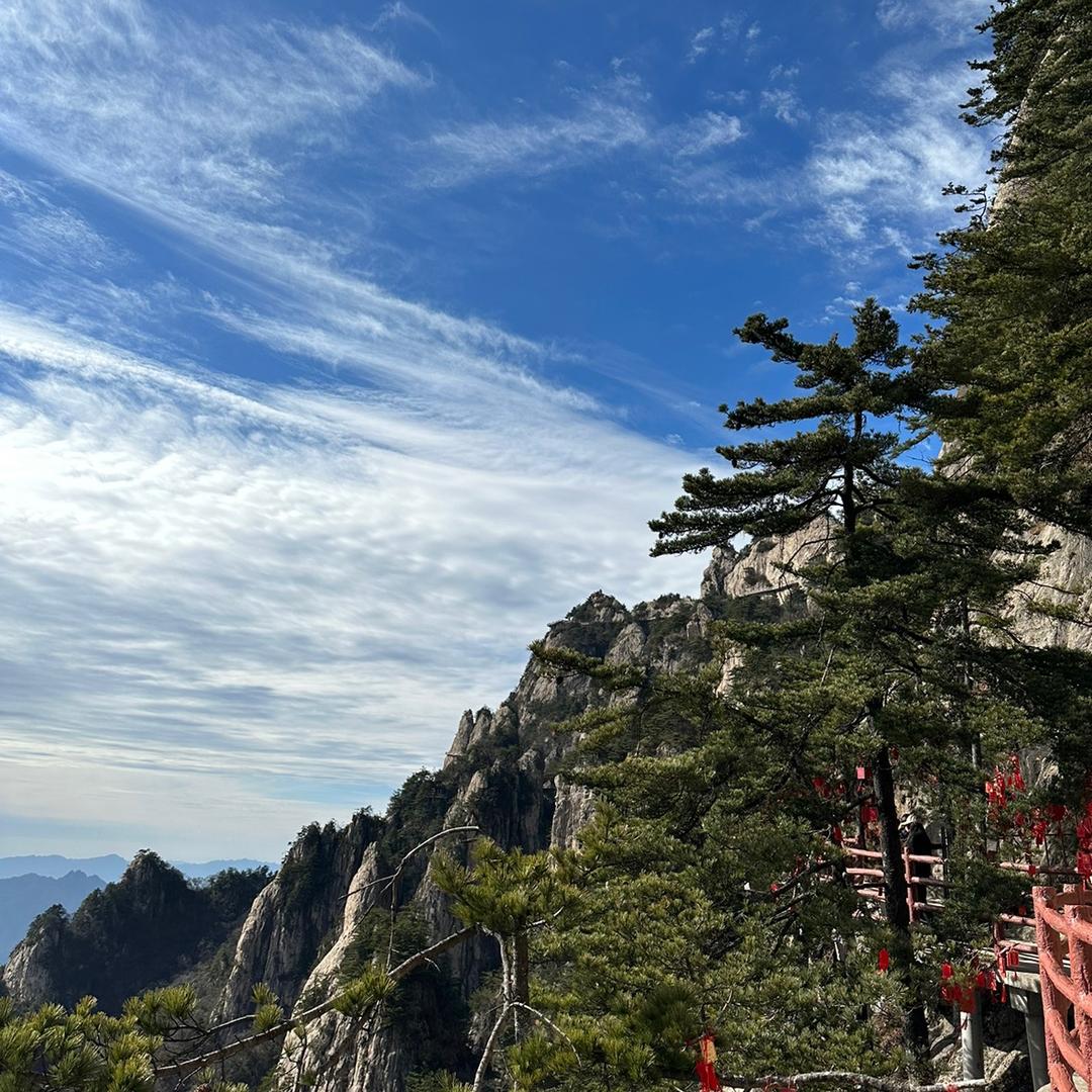 中源果园
