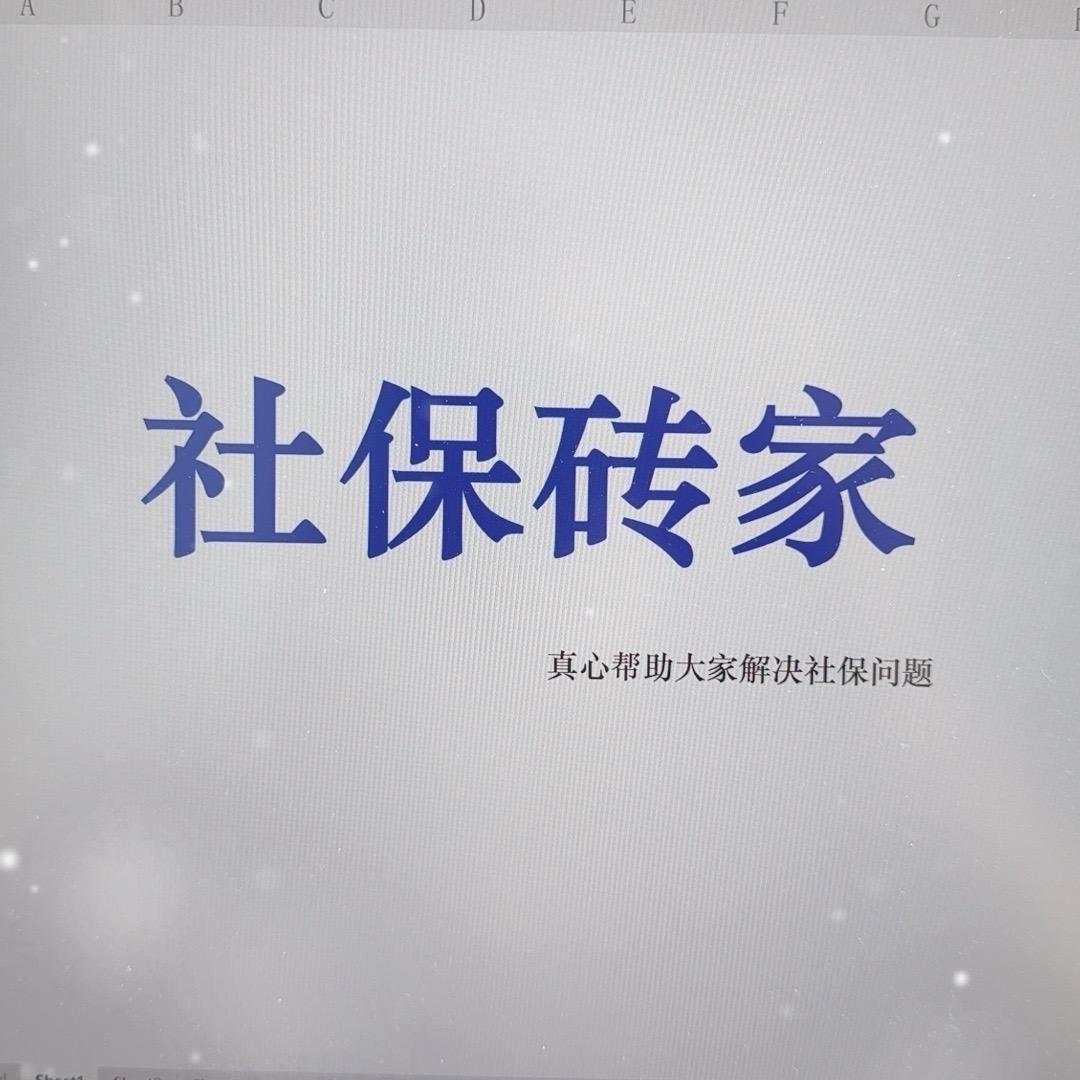 社保砖家