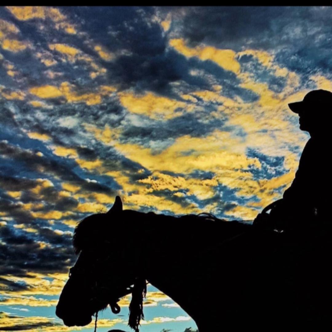 བོད་༡༣༧༦