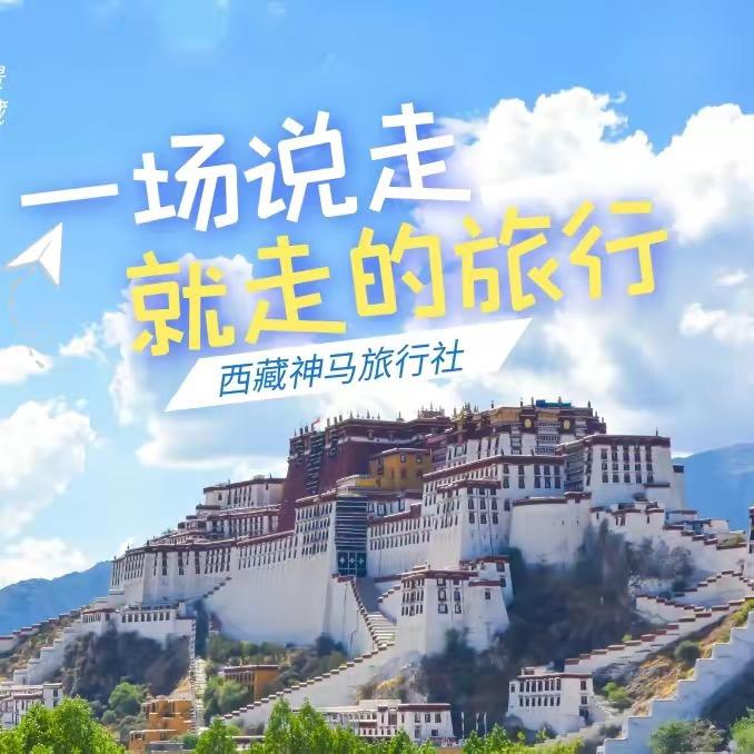 环橙信息咨询