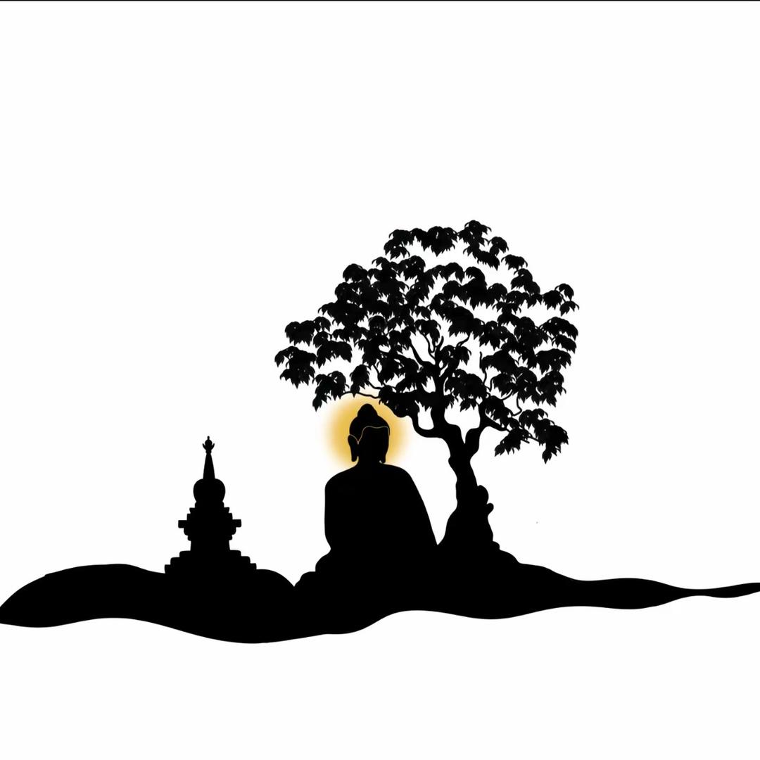 山茶一叶🍵