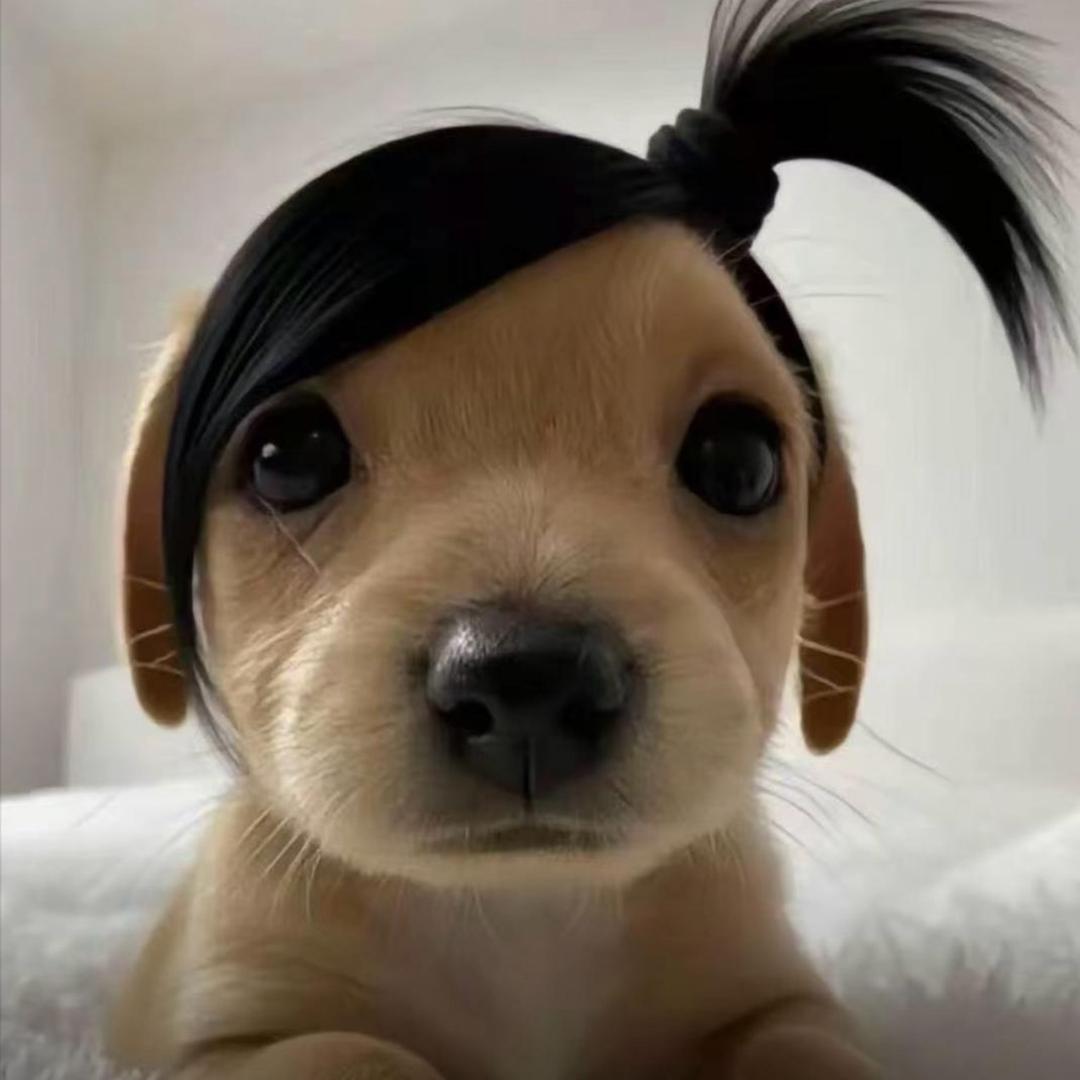 6721
