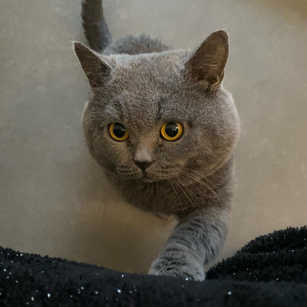 小⃔曾⃔很忙。