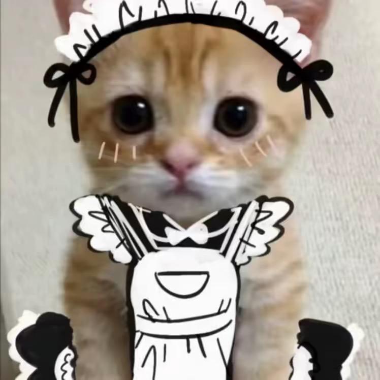 迹