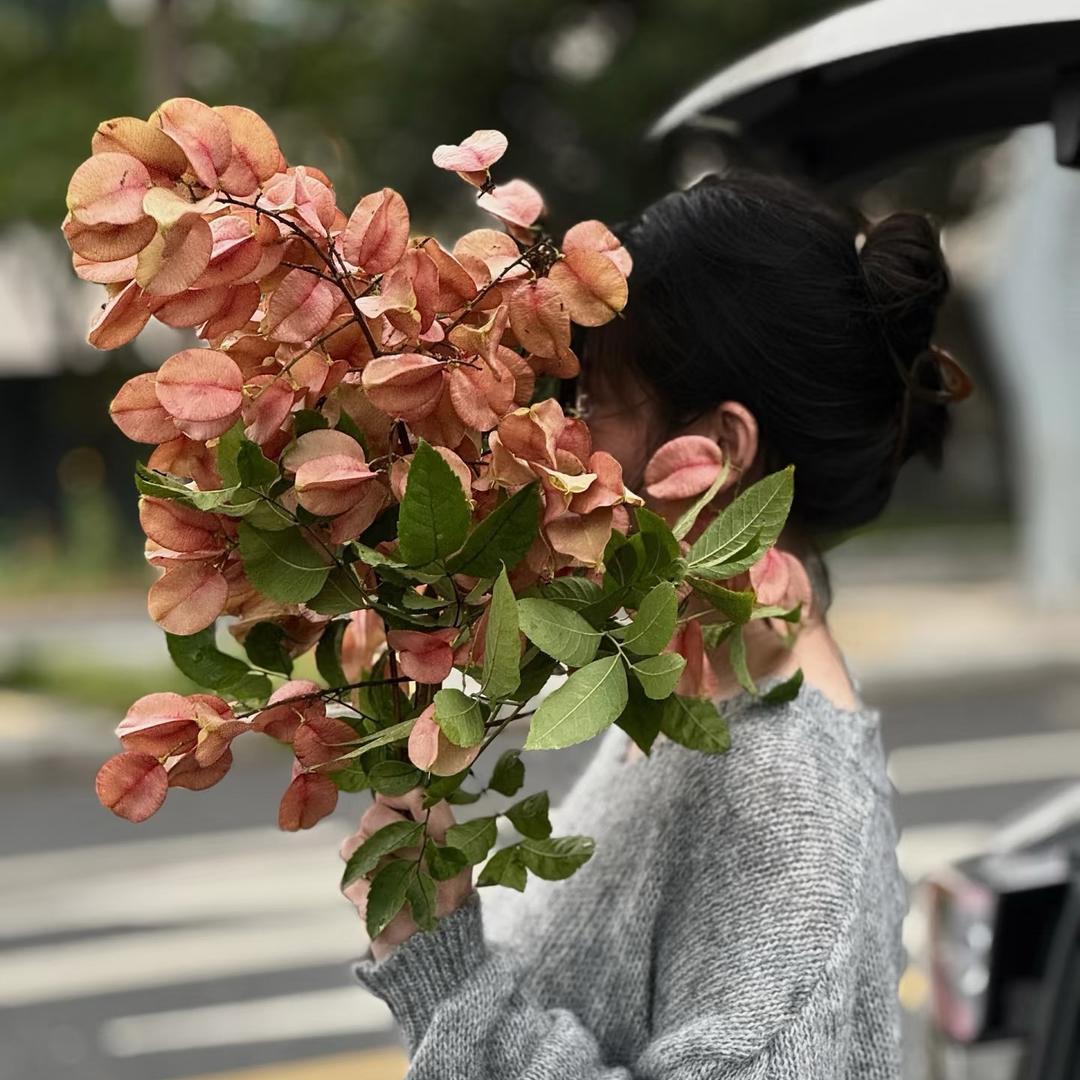 一口甜.