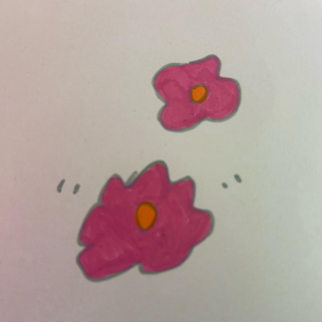 🌸芷萱