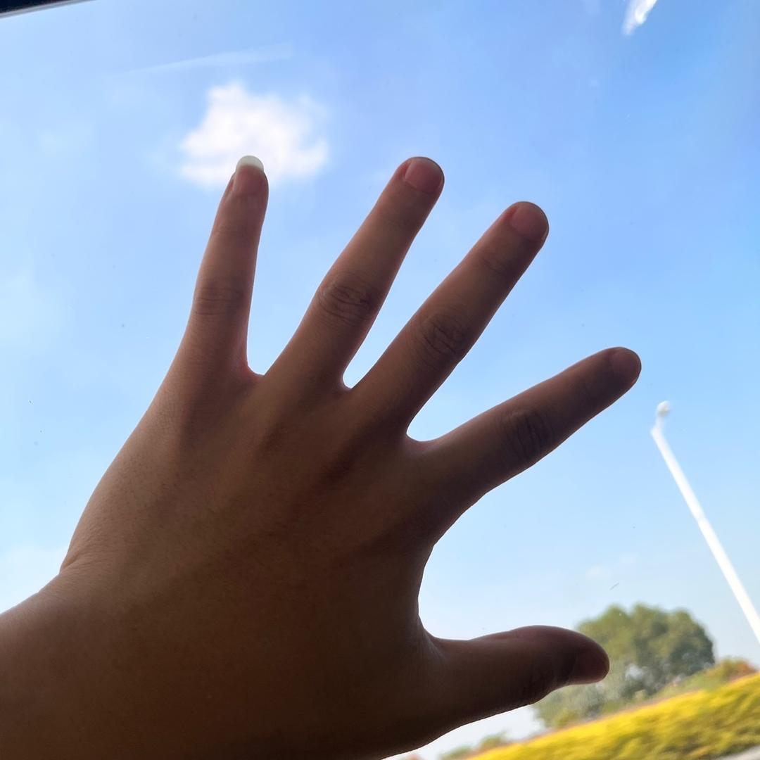 风子