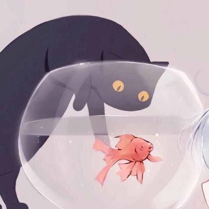 独坐云端