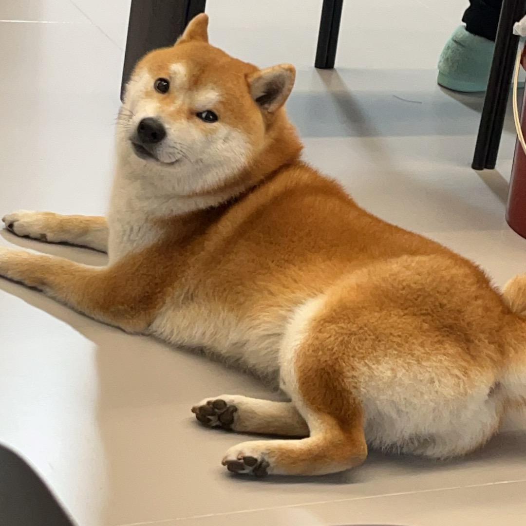 嘟