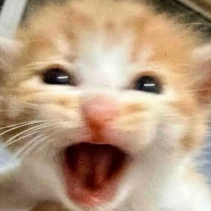 シ假的太真灬
