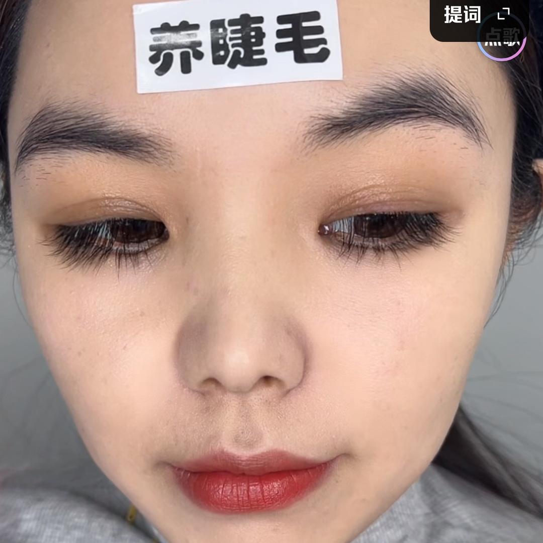 主养睫毛养眉毛