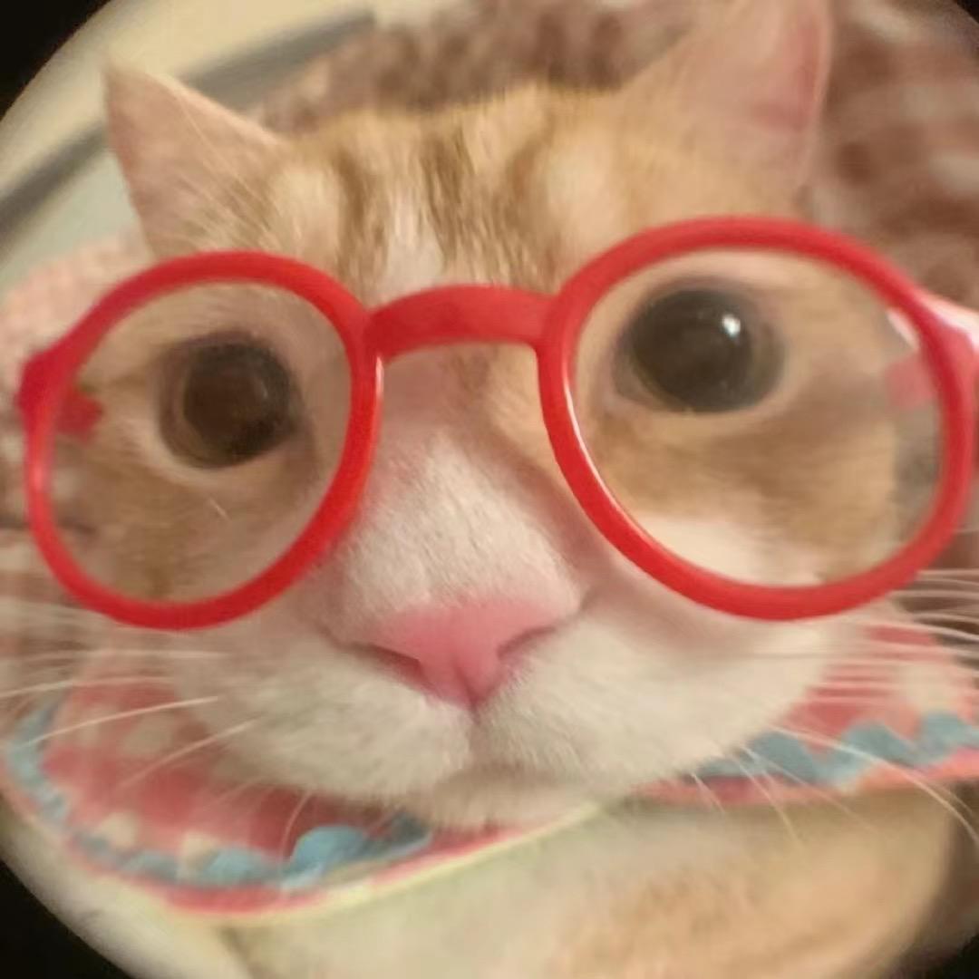 小鱼