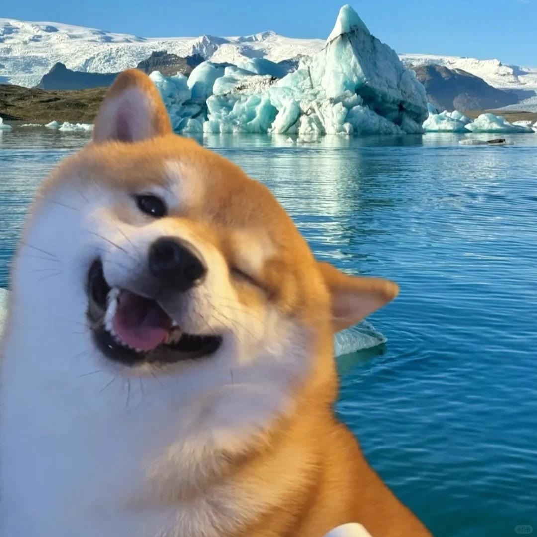 春梦
