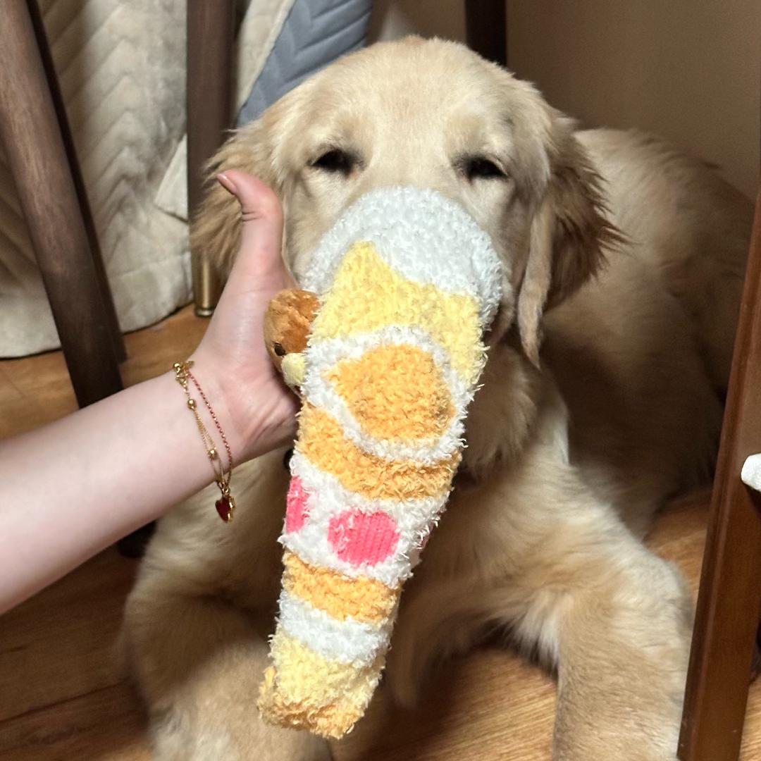 莱斯的古董相机