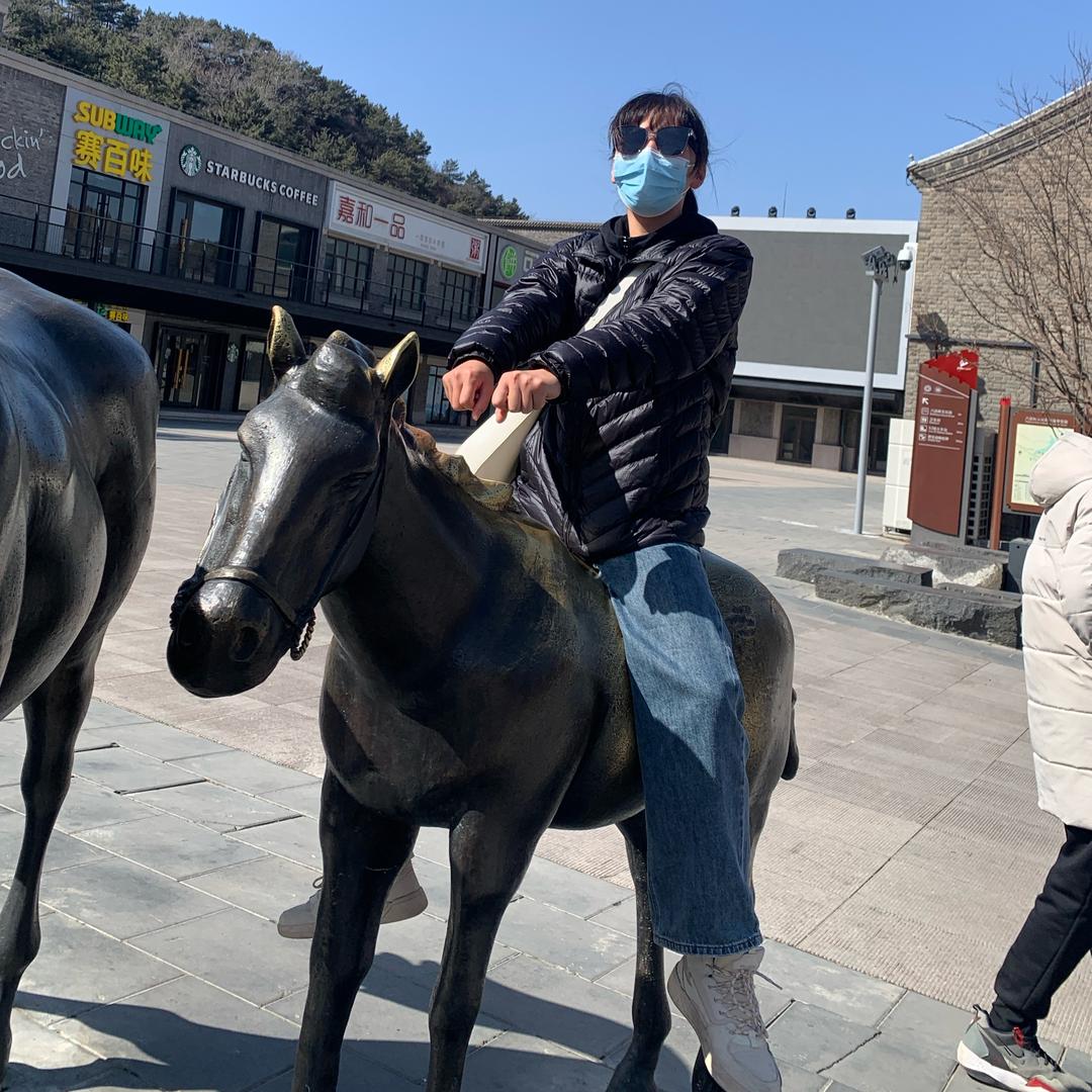 东风压倒西风