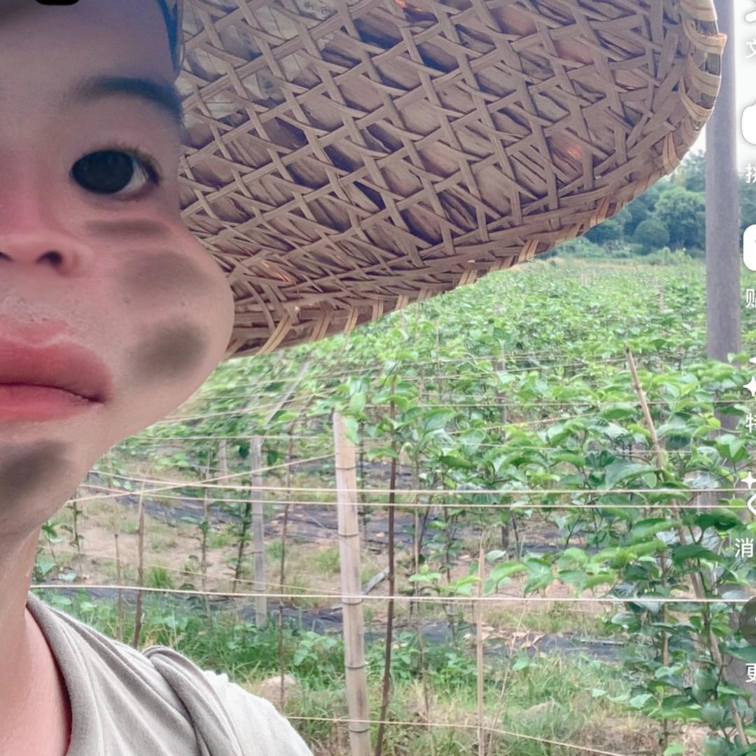 种百香果的小尹