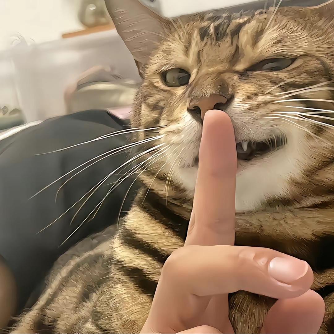 雾不清