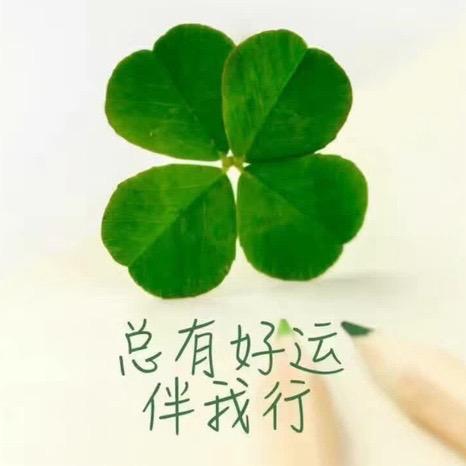 深林之灵