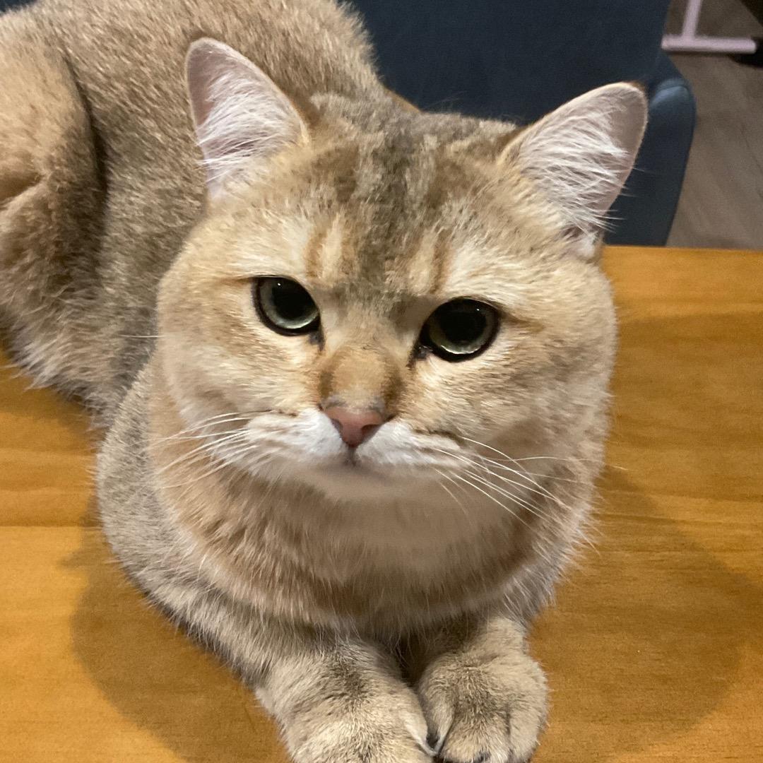 Kuminga