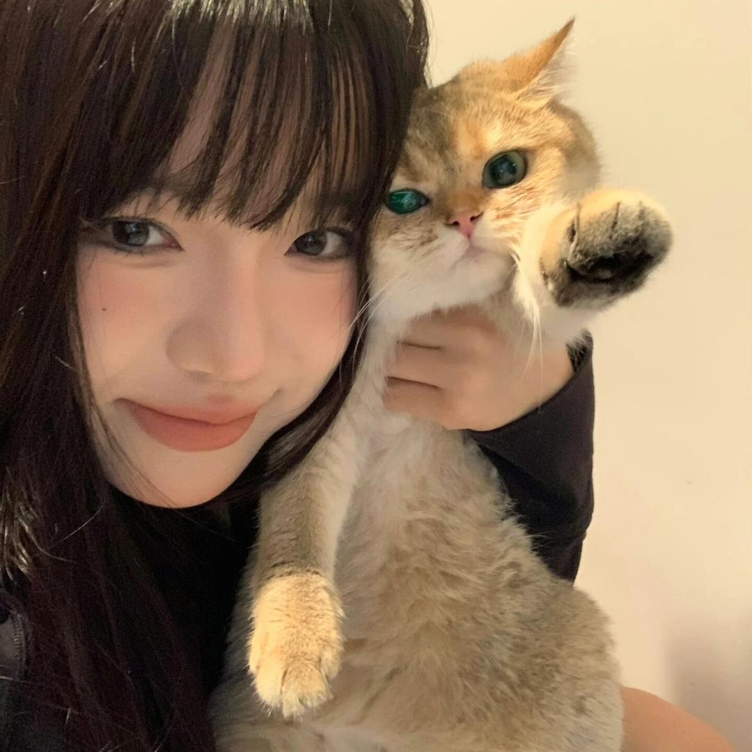一颗草莓呀