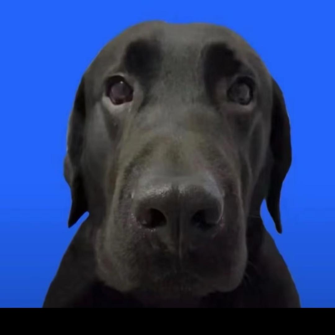 喂鸡总在忧郁雨天☔️