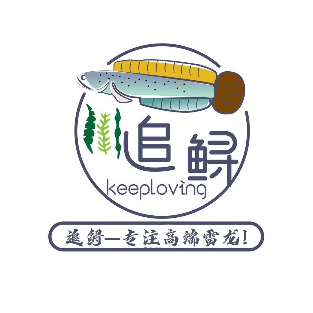 追鲟Keeploving雷龙