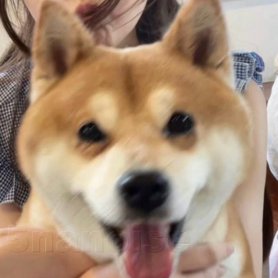 雀巢先生