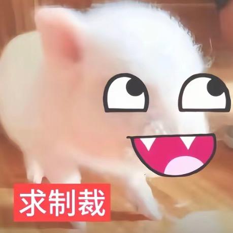 预告