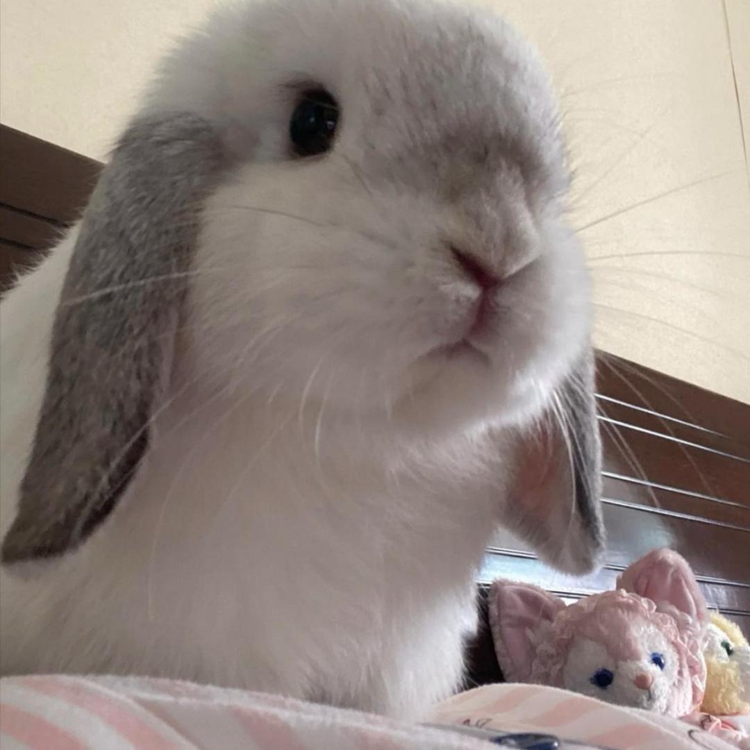uu。