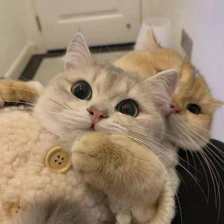 云卷云舒^_^
