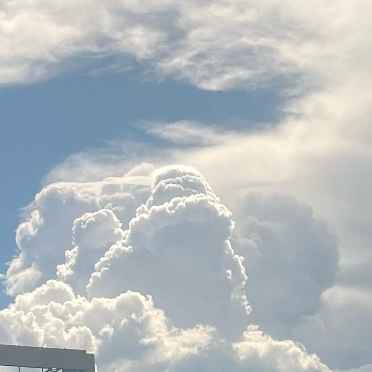 雷欧