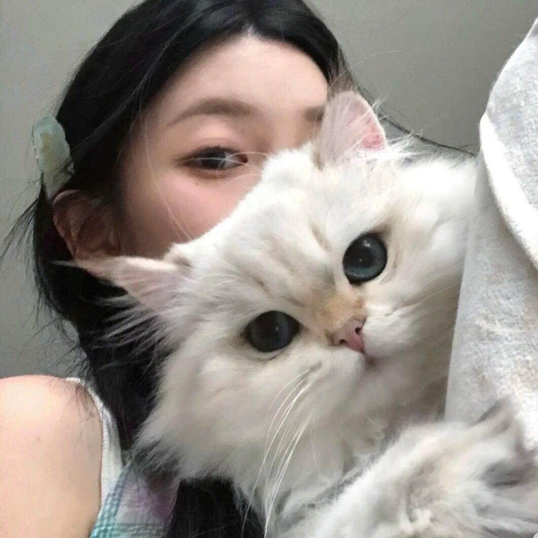 温暖DIY猫爬架厂家。