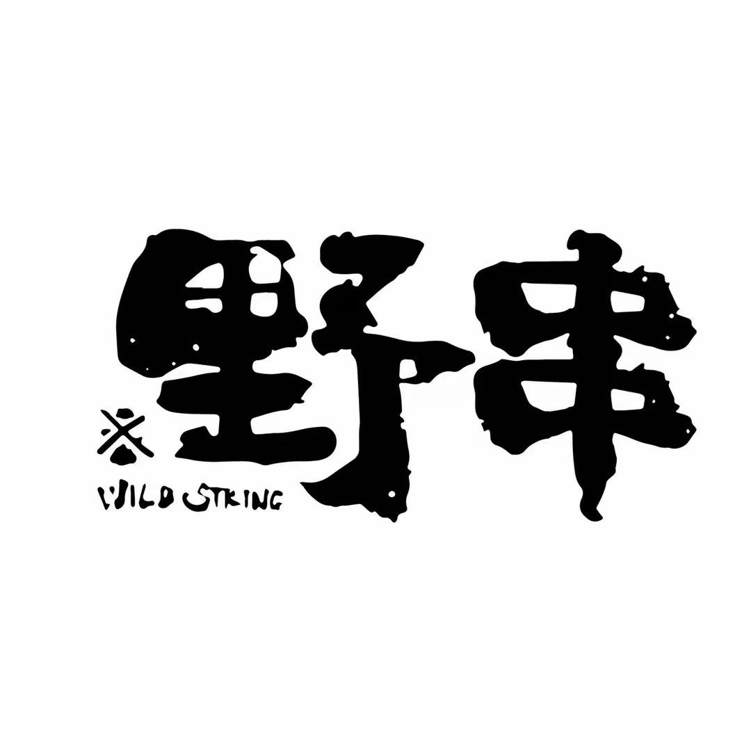辽P野摊烤串。
