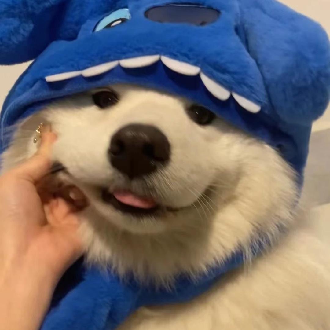 城南蛋清