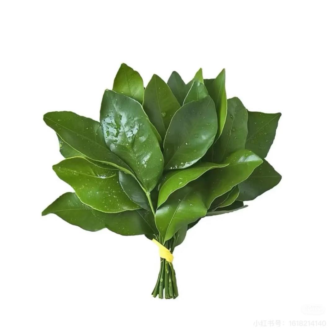 黄笑笑