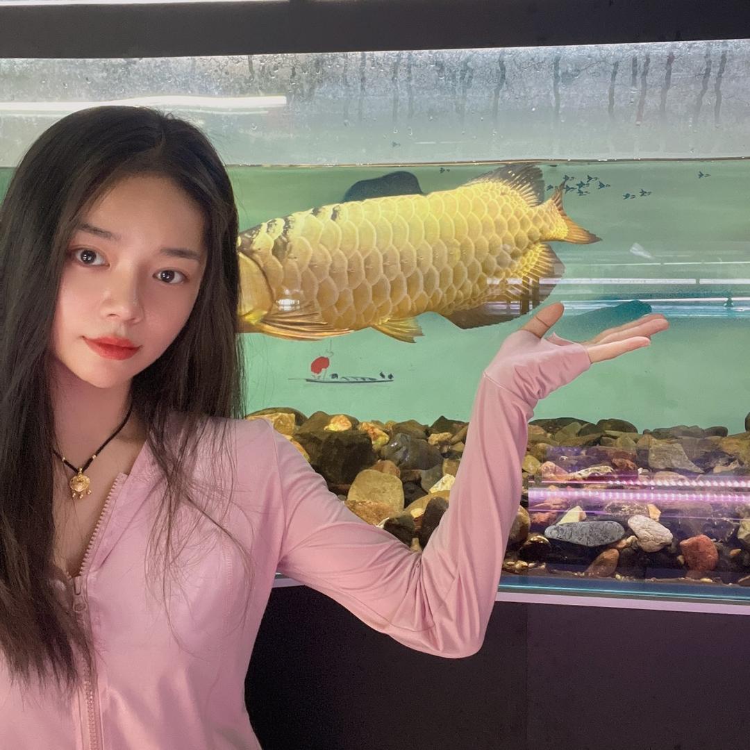 轩龙水族批发