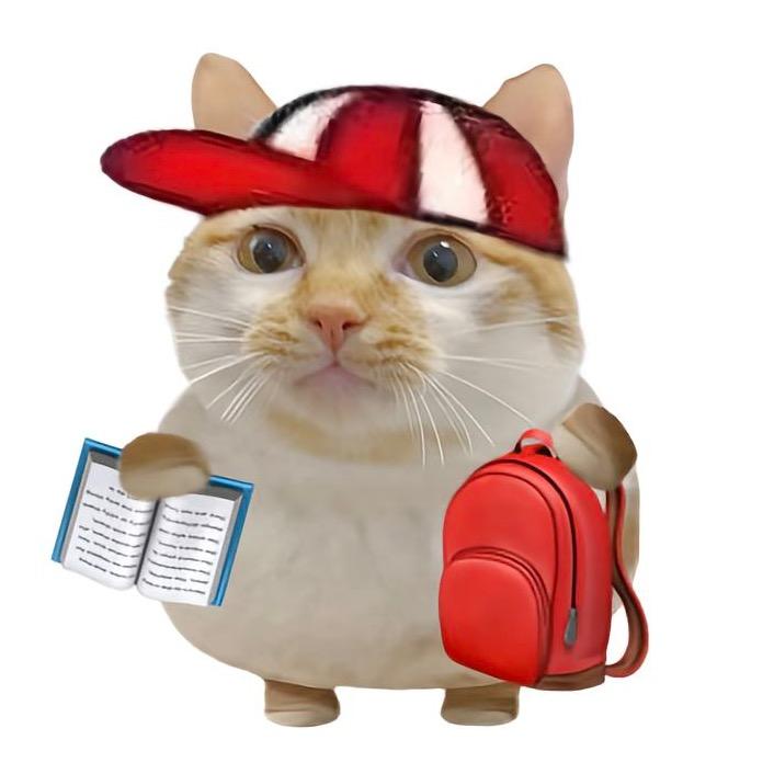 猫meme小绵羊