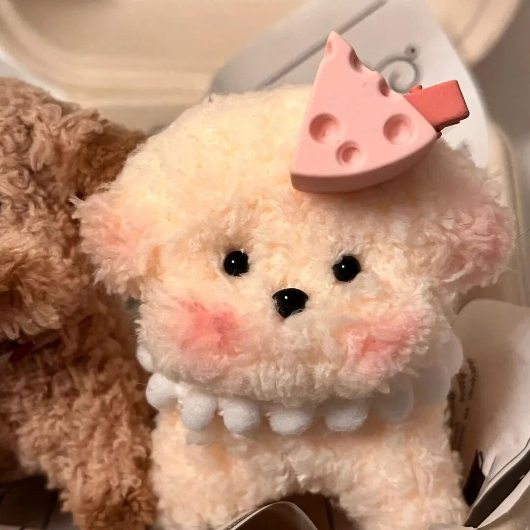不枝不枝